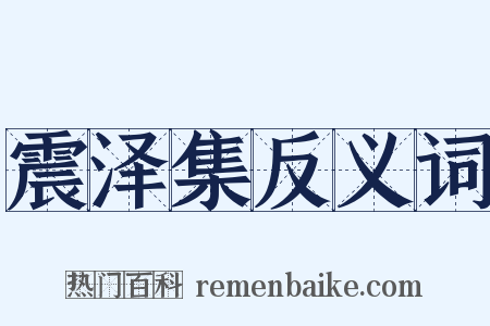 震泽集反义词是什么意思的图片